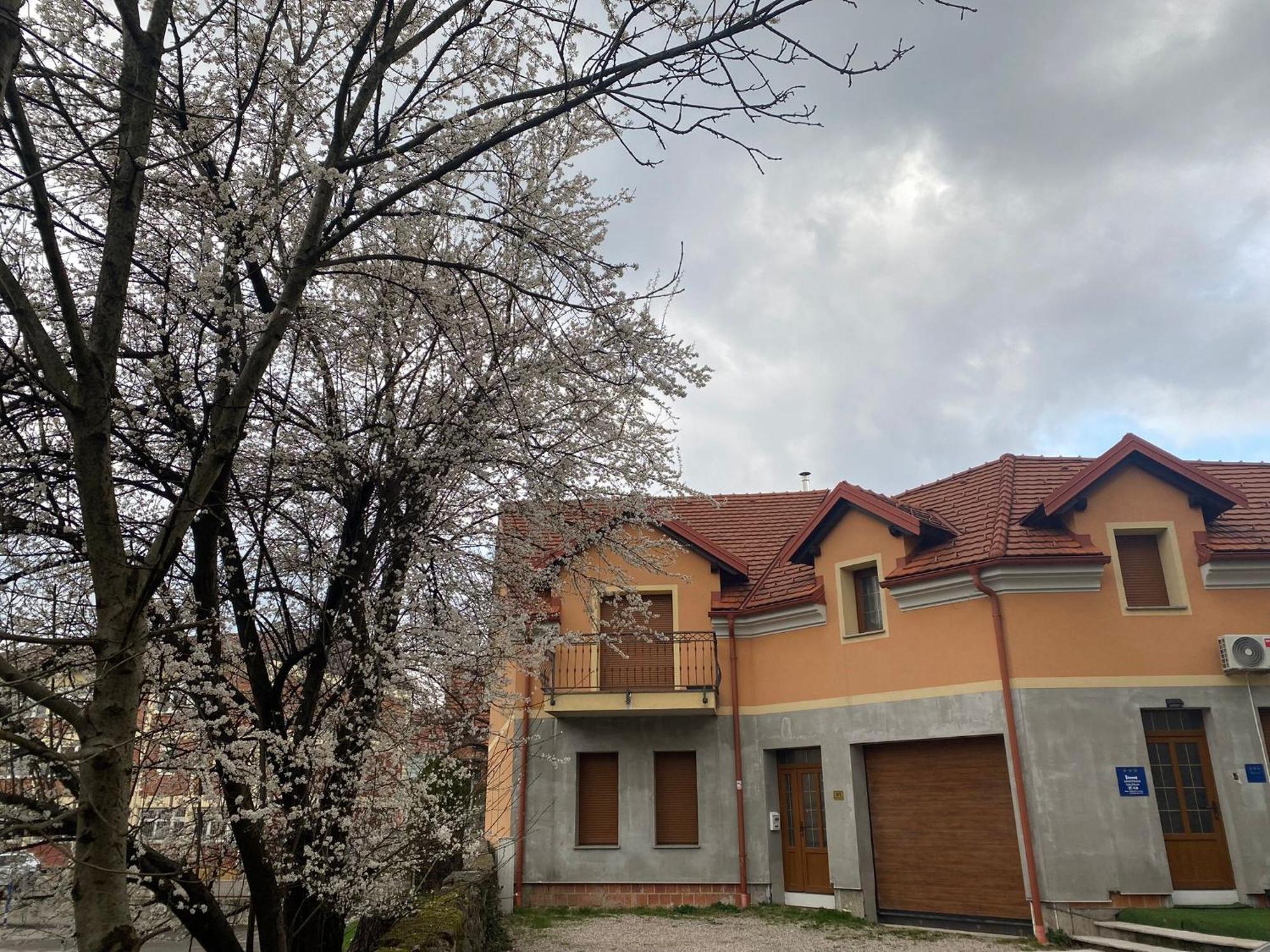 Apartman Galerija Ogulin Exteriér fotografie